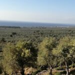 Taking breaks productivity view above plaka 2019