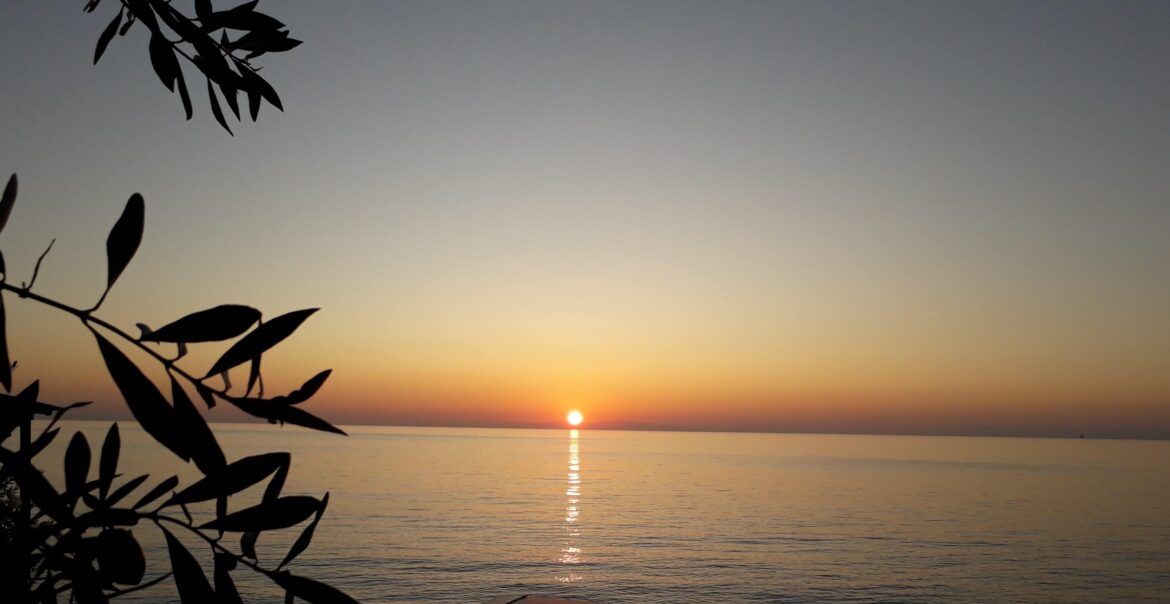 Why Nonverbal Communication Matters Why nonverbal communication matters sunset plaka 2017