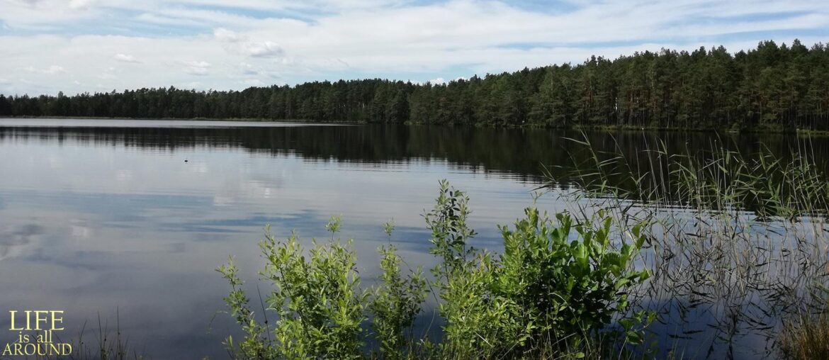 Why Routine is an enemy of Creativity Why routine is an enemy of creativity water riga 2019