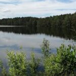 Why routine is an enemy of creativity water riga 2019