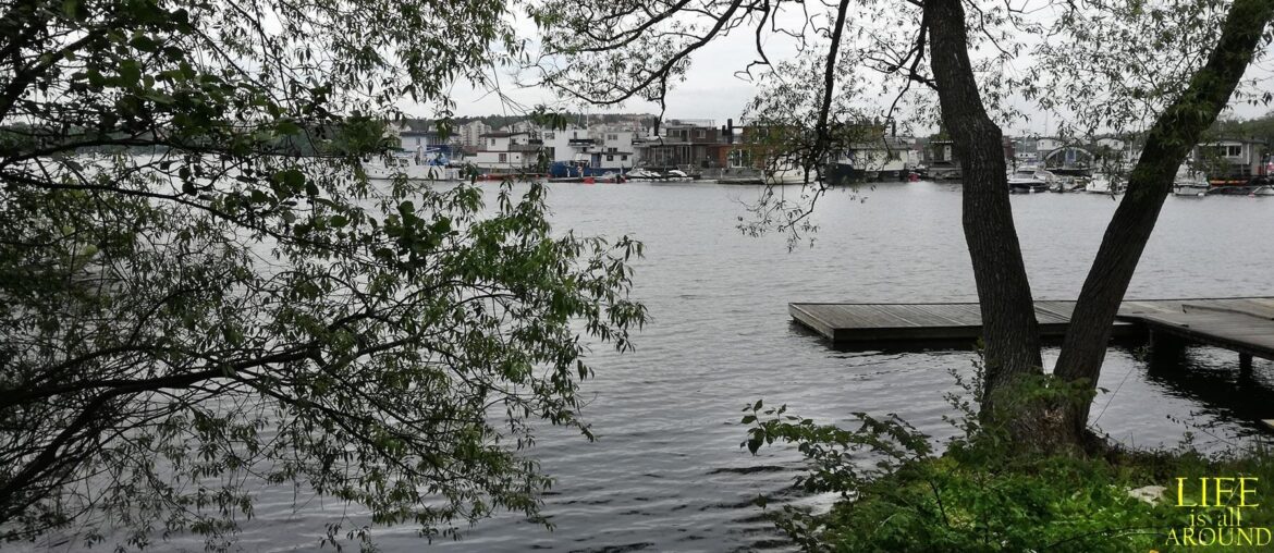 Why only stick with one personality Why only stick with one personality. River houses stockholm 2019