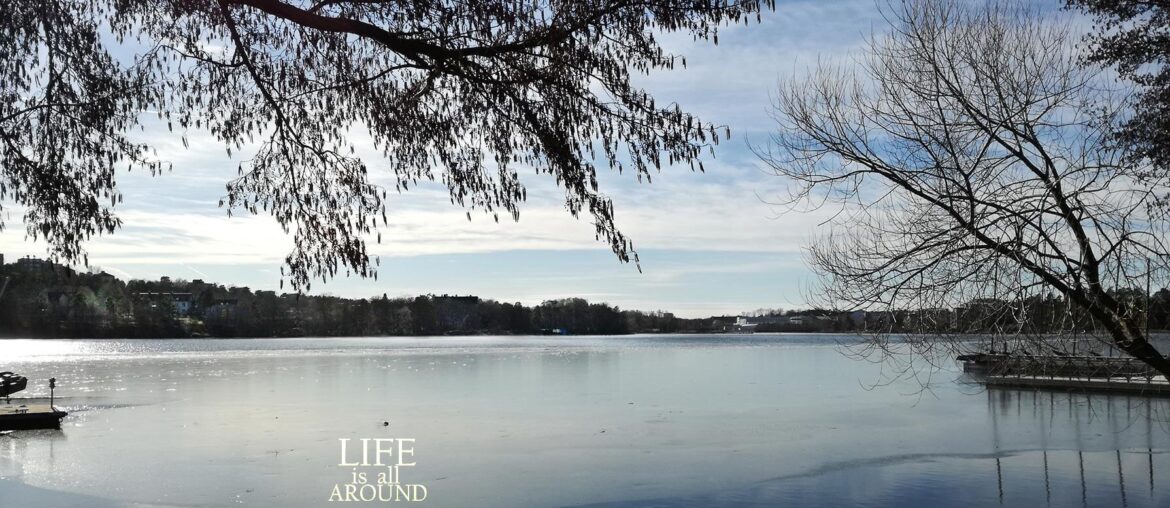 The Technique of Visualization: a back door to the Law the technique of visualization river trees stockholm 2019
