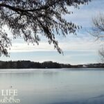 the technique of visualization river trees stockholm 2019