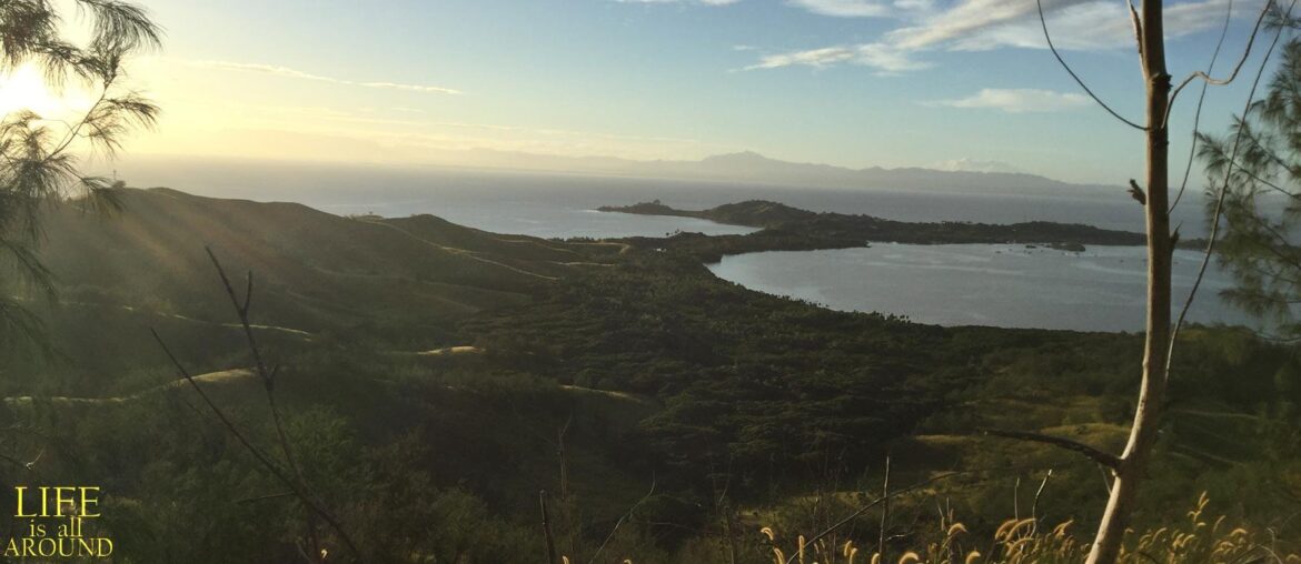 Homo Universalis Why is it important Homo Universalis Why is it important view sunset fiji 2018