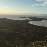 Homo Universalis Why is it important view sunset fiji 2018