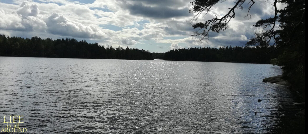 When to hope and when not to? When to hope and when not to - lake and trees stockholm 2018