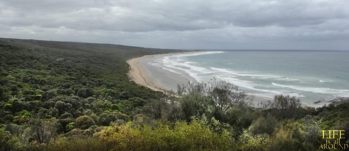 Access to joy: a superpower we all have Access to joy beach view and greenery melb 2018