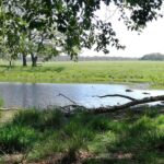 About love field copenhagen 2019