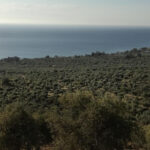 Setting the right conditions in life view above plaka 2019