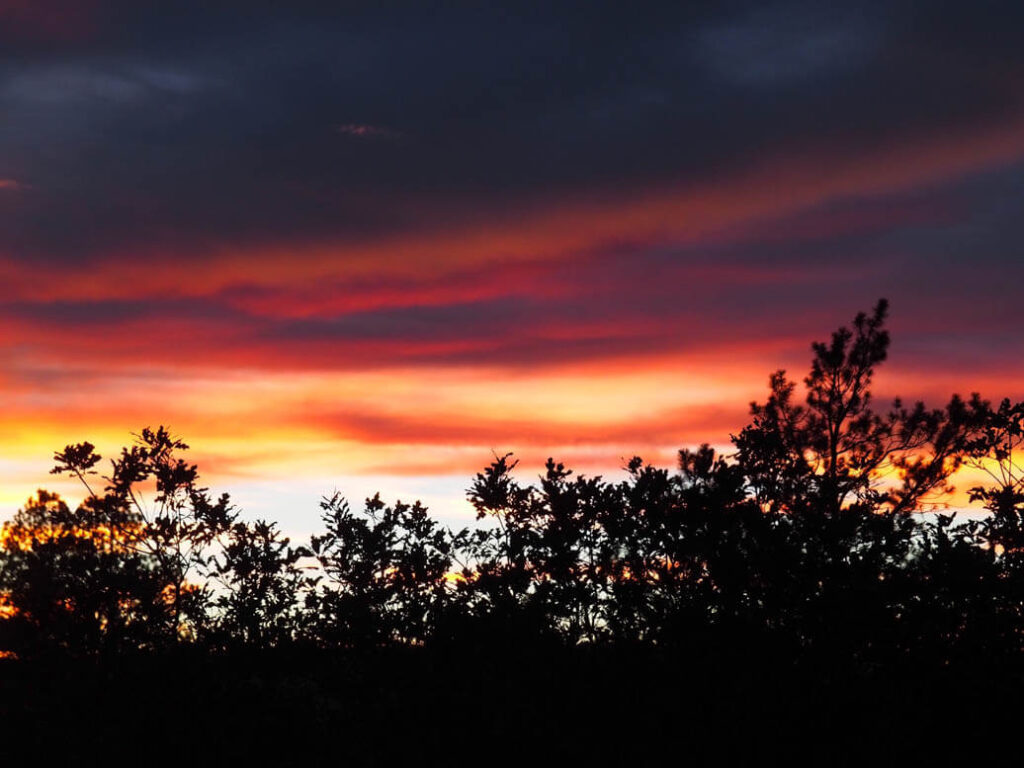 Sharing your life sunset in Colorado Pagosa springs 2022