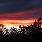 Sharing your life sunset in Colorado Pagosa springs 2022