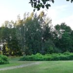 Poem: when I look: green helsinki 2019